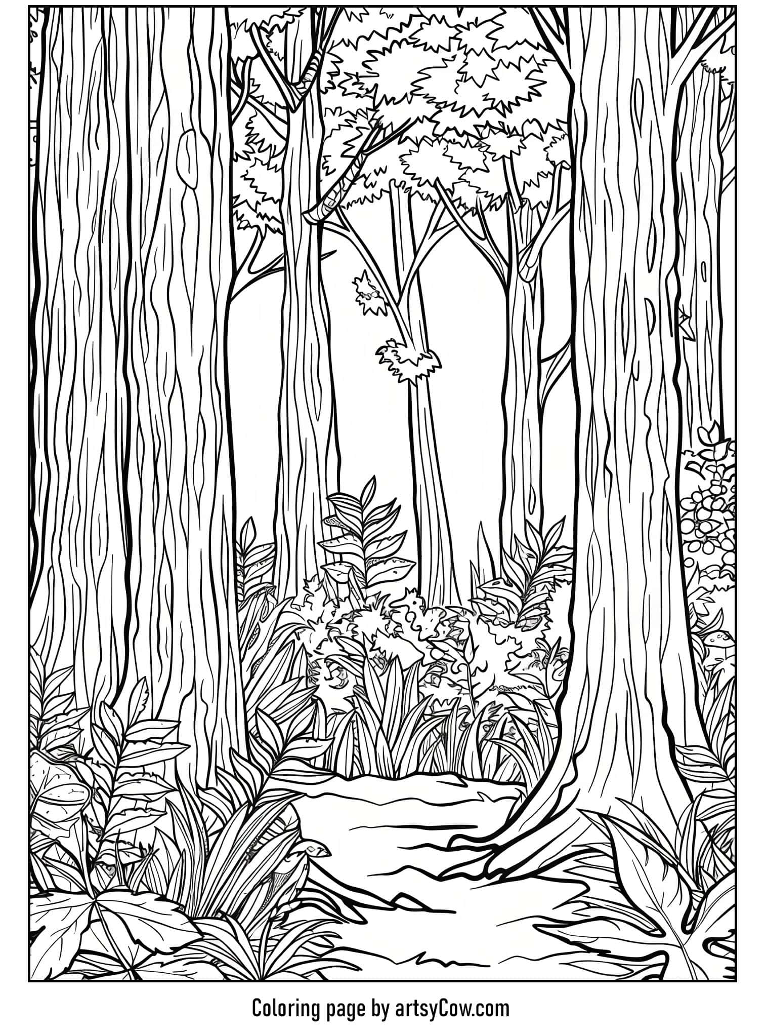 a serene forest with tall, slender trees and dense undergrowth alongside a narrow stream